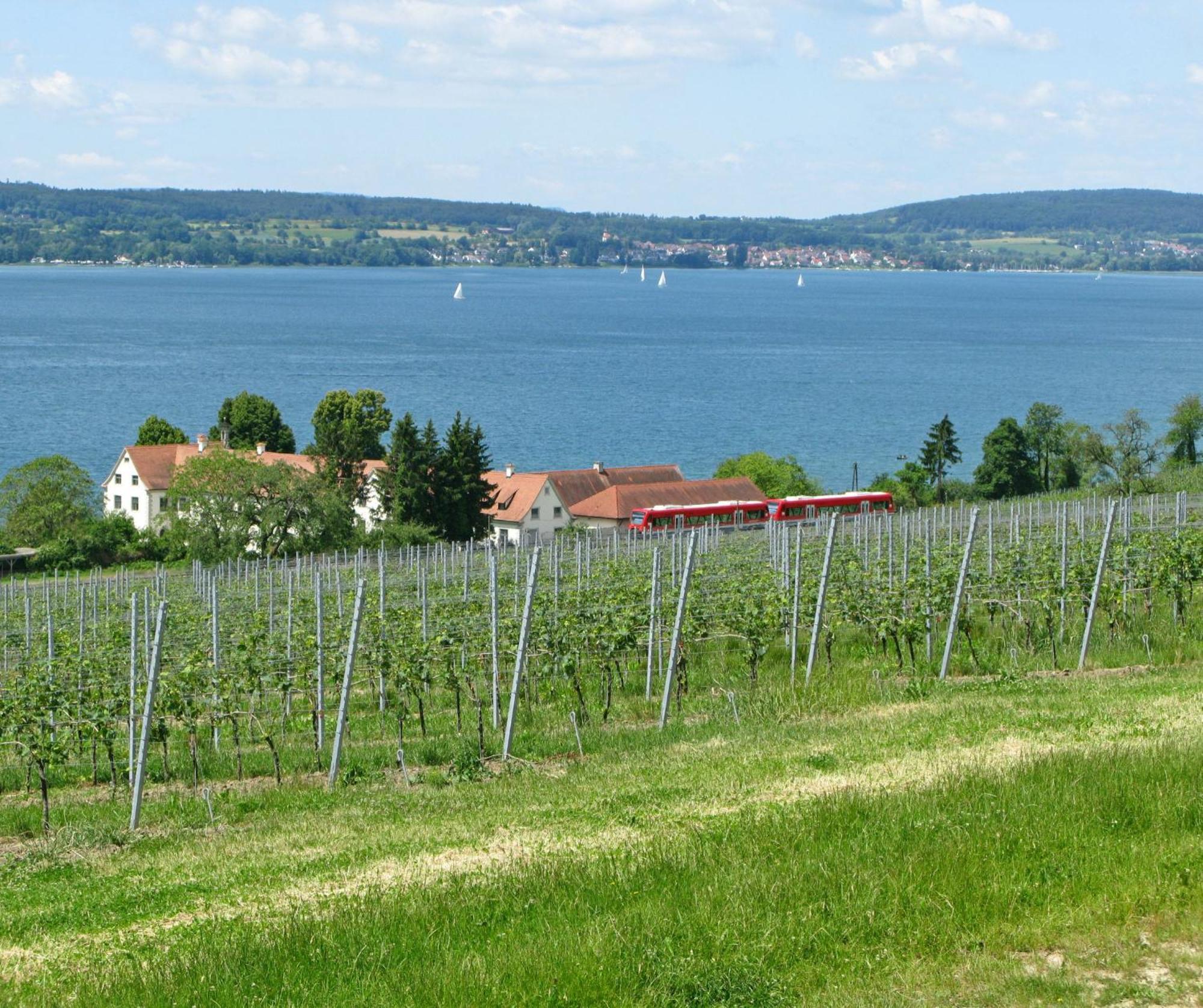 Ueberlinger Ferienidylle Apartment Uberlingen Exterior foto
